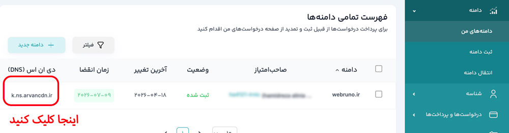انتخاب دامنه و کلیک بر روی تنظیمات دی ان اس دامنه